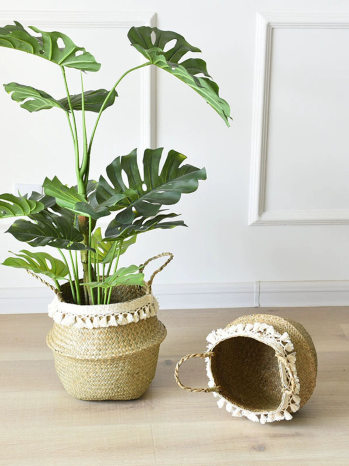 Scandinavian Flower Pot Ins Tassel Flower Basket Water Plants Woven round Monstera Deliciosa Special Large, Medium and Small Decorative Greenery Planting