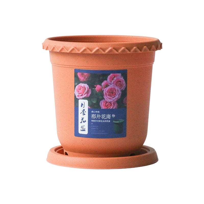 Chinese Rose Climbing Vine Rose Plastic round Large Hydrangea