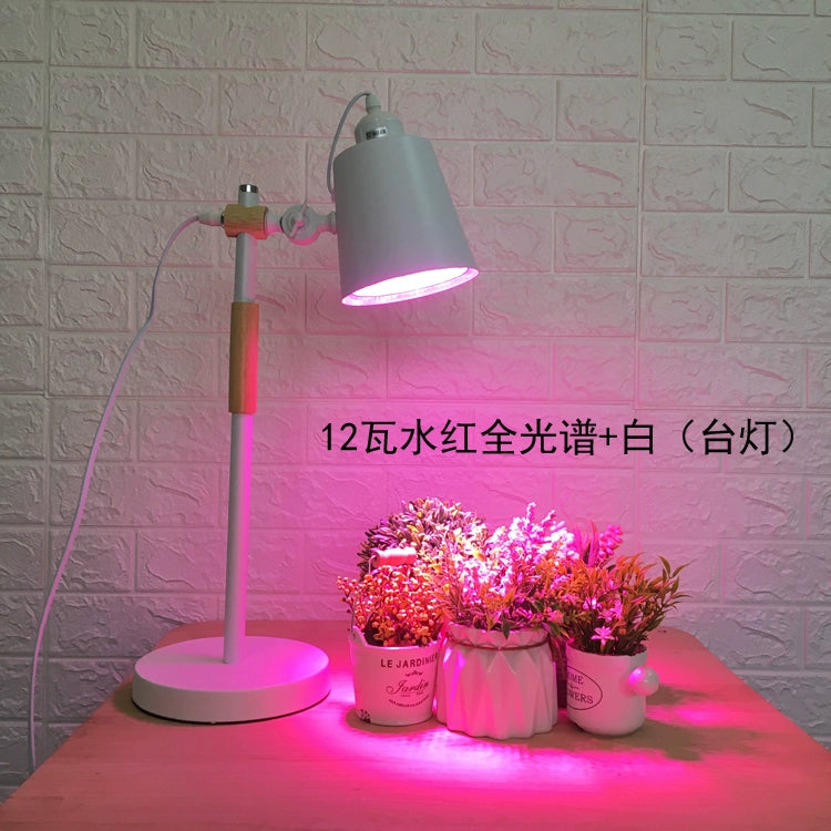 Succulent Fill Light Household Coloring Chopsticks Container Plant Led Full Spectrum Plant Growth Light Succulent Light Light