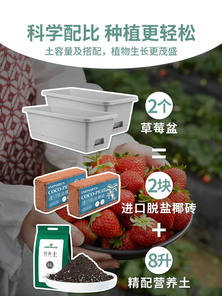 Strawberry Pot Rectangular Plastic Flower Pot 2022 New Style Vegetables Growing Handy Gadget Long Planting Trough Family Balcony Planting Basin