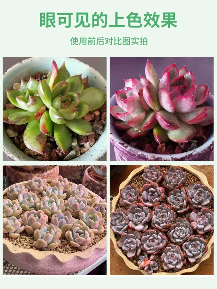 Succulent Fill Light Home Color Full Spectrum Led Imitation Sun Sunshine Flower Stand Indoor Green Plant Growth Lamp