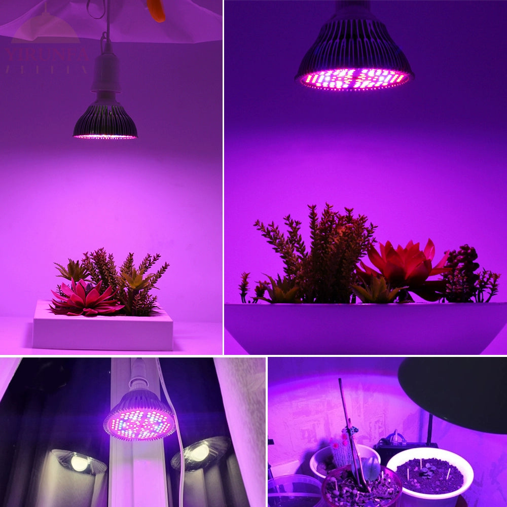 Full Spectrum LED Plant Growth Lamp Household Indoor E27 Bulb Succulent Colored Anti-Glare Fill Light Rack Clip Set