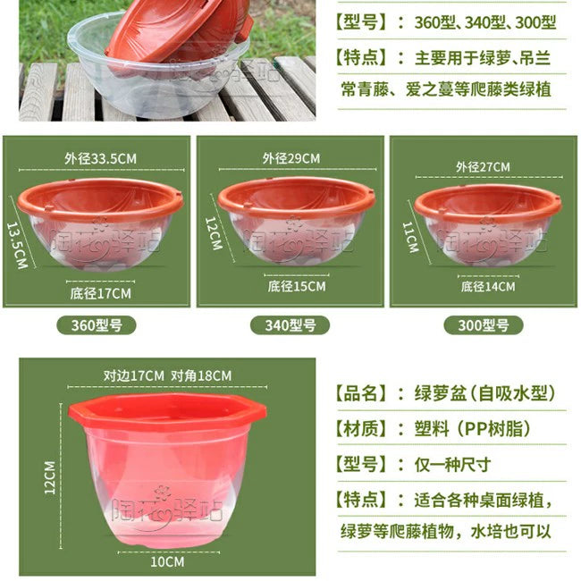 Round Double-Layer Resin Green Dill Flowerpot Plastic Transparent Bottom Basin Transparent Cover Set Basin Non-Porous Water Storage Bean Bag Water Storage