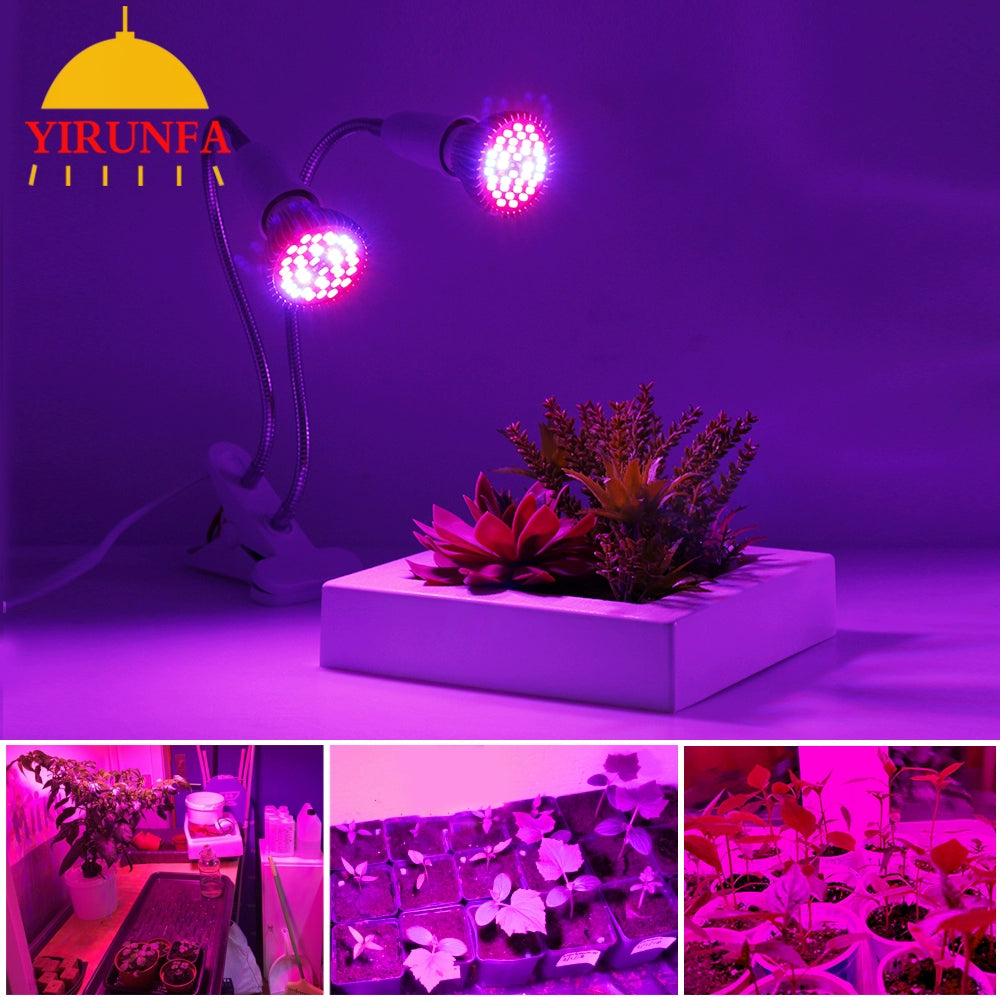 Full Spectrum LED Plant Growth Lamp Household Indoor E27 Bulb Succulent Colored Anti-Glare Fill Light Rack Clip Set