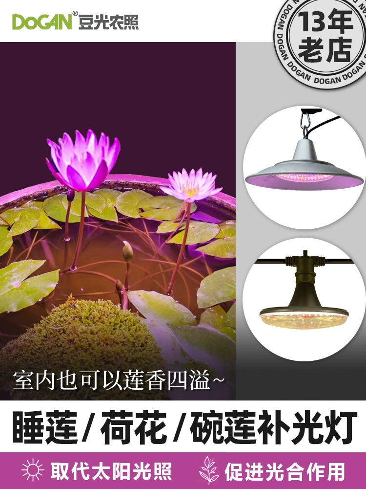 Lotus Sleeping Bowl Lotus Special Fill Light Anti-Overgrowth and Budding Led Full Spectrum Plant Growth Lamp