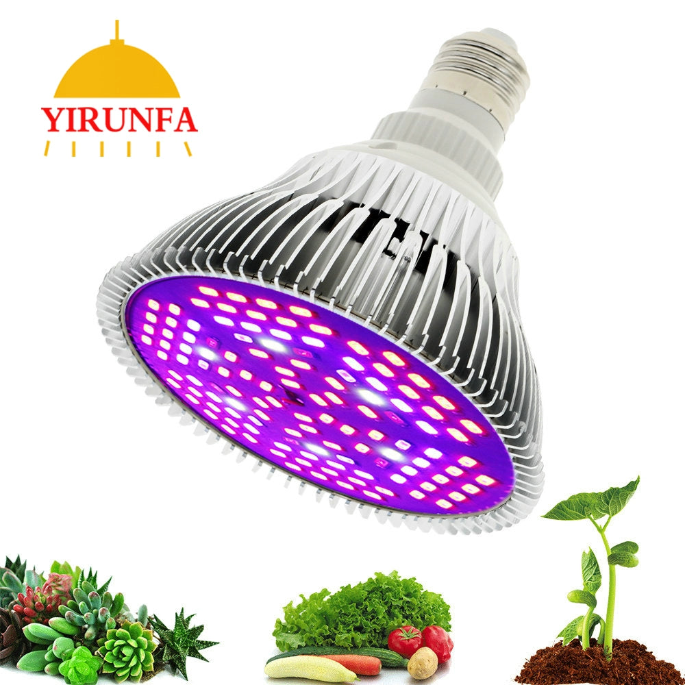 Full Spectrum LED Plant Growth Lamp Household Indoor E27 Bulb Succulent Colored Anti-Glare Fill Light Rack Clip Set