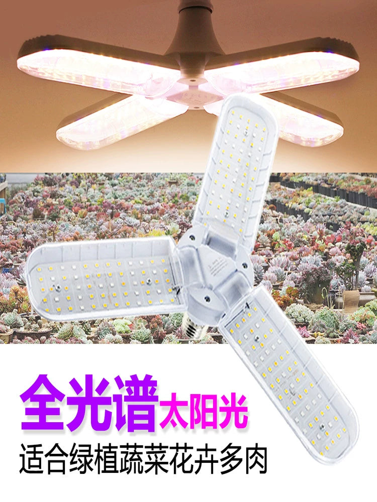 Sunlight Led Succulent Plant Fill Light Growth Lamp Full Spectrum Greenhouse Green Plant Vegetable Florals Seedling 110v220