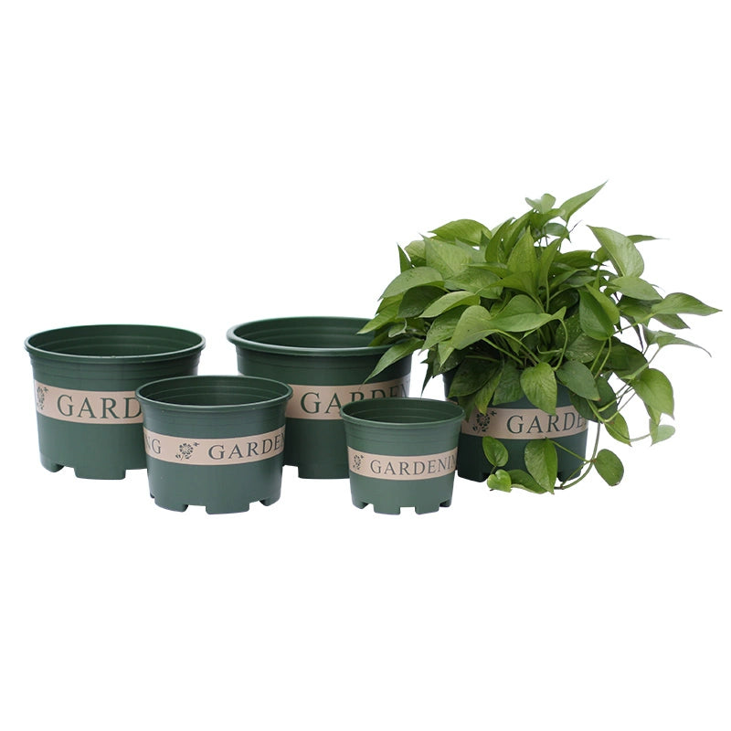 Indoor Low-Gallon Flower Pot Balcony Succulents Household Planting Plastic Flower Pot Minimalist round Large Green Dill Flowerpot