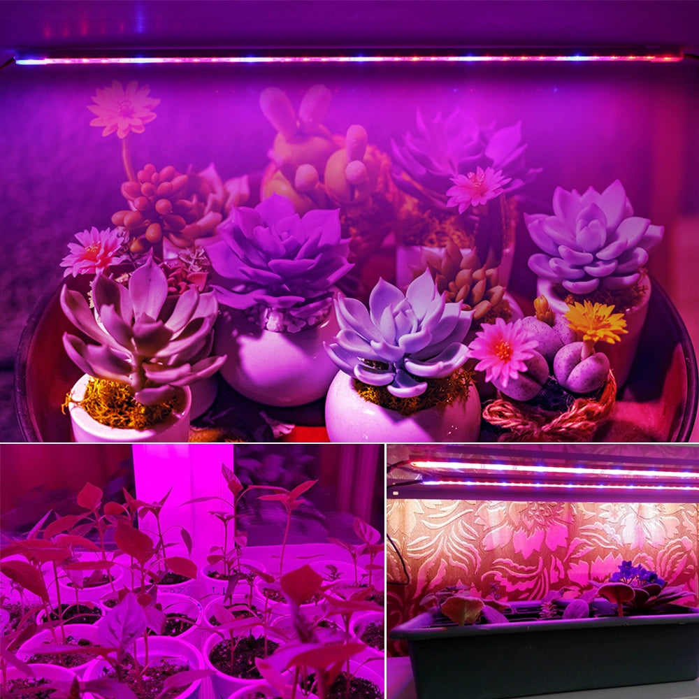 LED Plant Growth Lamp Full Spectrum Vegetable Seedling Slurperon Succulent Coloring Plant Fill Light Hard Light Bar 12V