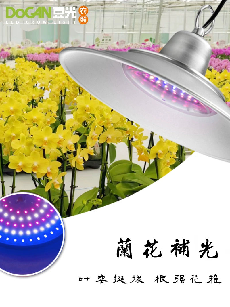 Orchid Sprout and Flower Promotion Special Fill Light Greenhouse Balcony Led Blue Purple Light Scattering Light Waterproof Plant Growth Light