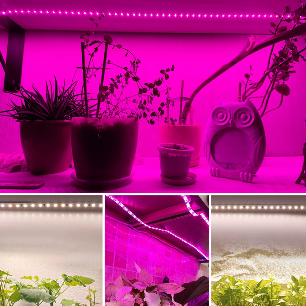 LED Plant Light with Full Spectrum USB Charging Imitation Sunlight Plant Growth Lamp Succulents Seedling Fill Light