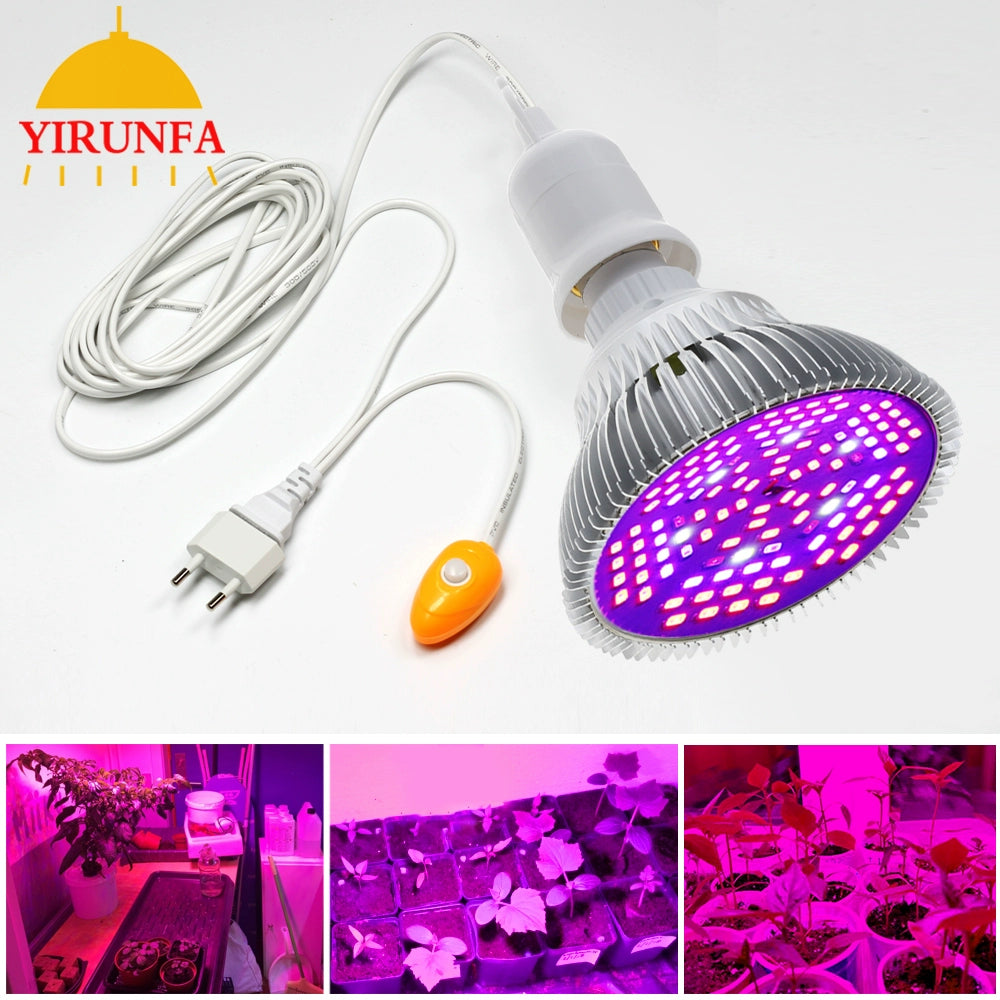 Full Spectrum LED Plant Growth Lamp Household Indoor E27 Bulb Succulent Colored Anti-Glare Fill Light Rack Clip Set