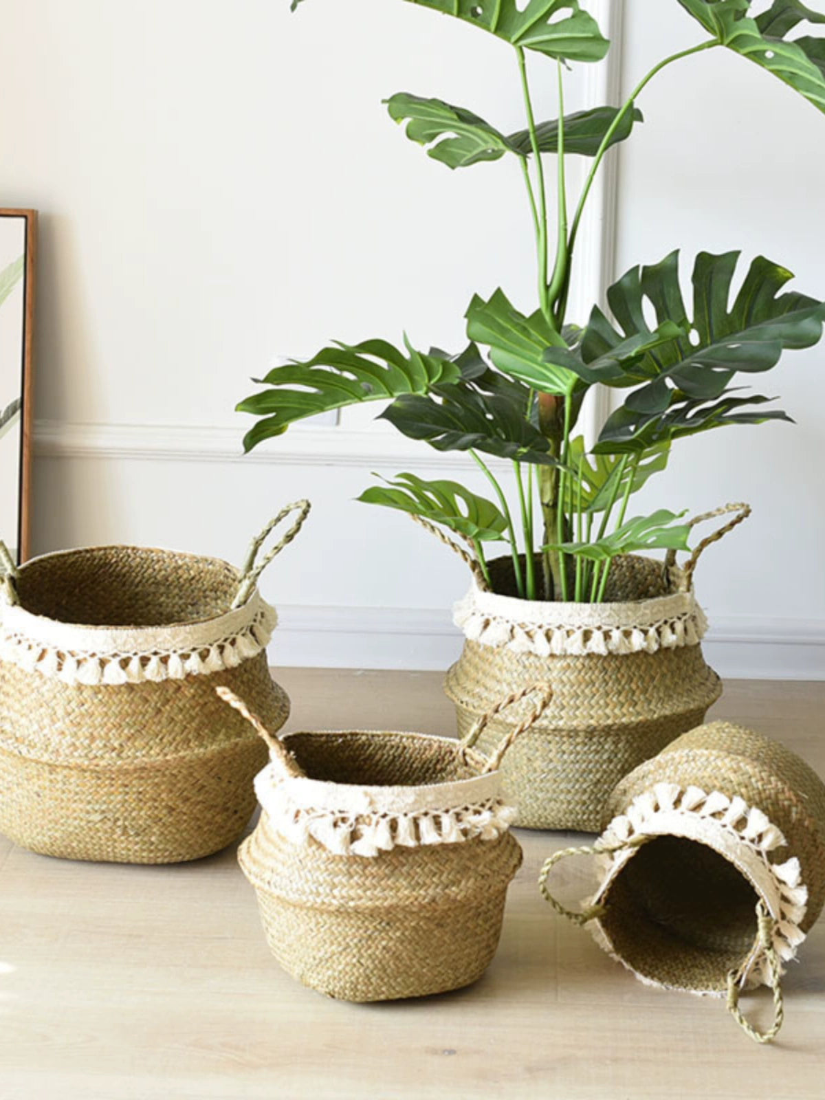 Scandinavian Flower Pot Ins Tassel Flower Basket Water Plants Woven round Monstera Deliciosa Special Large, Medium and Small Decorative Greenery Planting