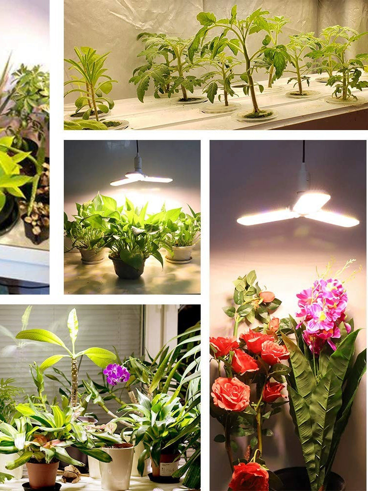 Sunlight Led Succulent Plant Fill Light Growth Lamp Full Spectrum Greenhouse Green Plant Vegetable Florals Seedling 110v220