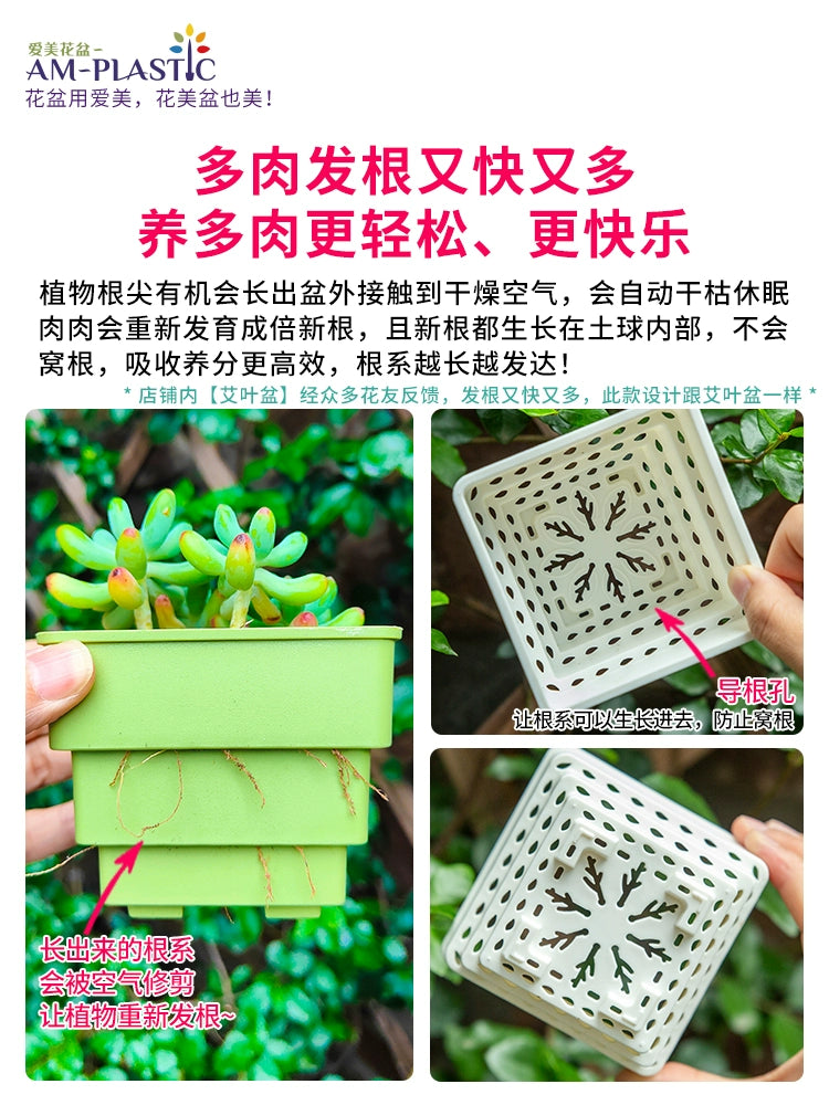 Aimei Succulent Flower Pot Creative Small White Square Combination Resin Thickened Root-Controlling Breathable Plastic Plant Planting Pot