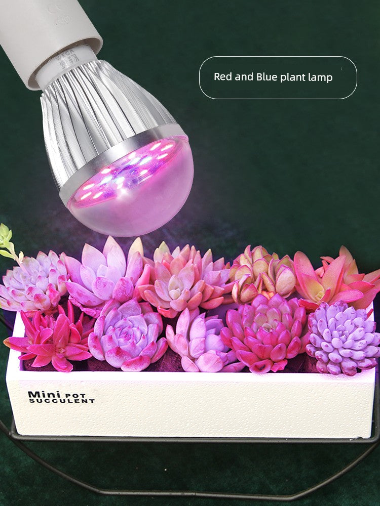 Guixiang Full Spectrum Led Succulent Fill Light For Home Coloring Imitation Solar Plant Growth Light Sunlight Dummy Lamp