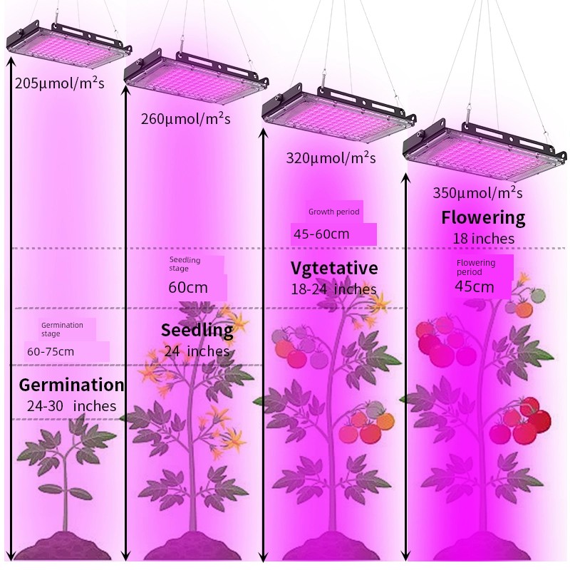 Full Spectrum LED Plant Fill Light Succulent Growth Lamp Green Plant Plastic Greenhouse Vegetable Flower Seedling Imitation Sunlight