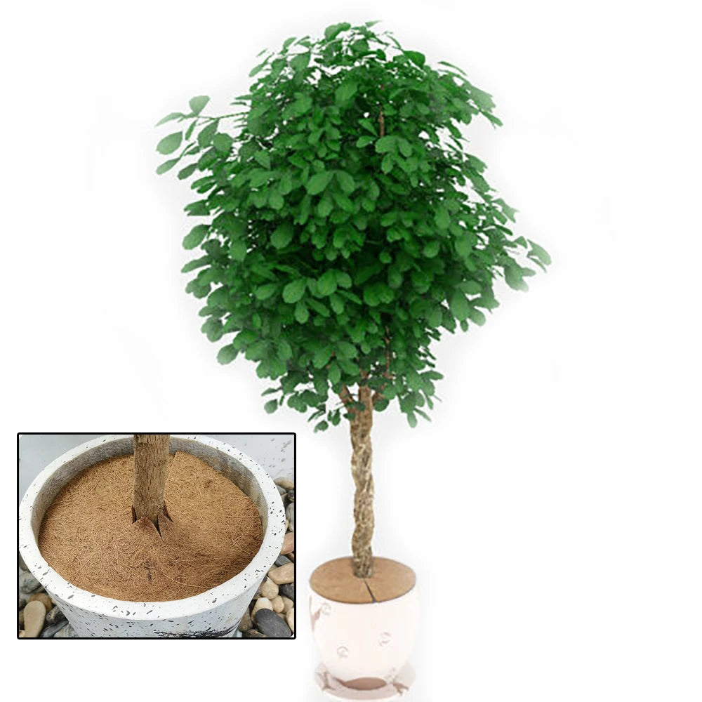 Natural Coconut Fiber Tree Mulch Mat Cover Protector 25/30/35/40cm Flower Pot Disc Pad Weed Control Warm Moisture Cushion