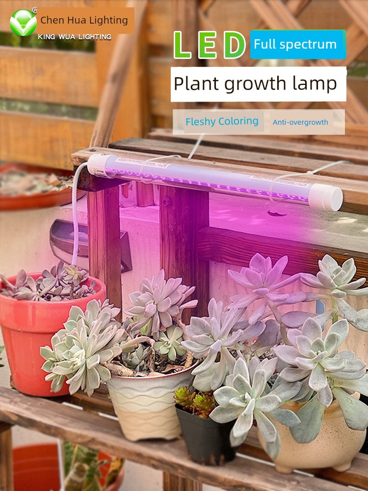 Chenghua T8 Succulent Light Coloring Full Spectrum Plant Growth Vegetable Seedling Florals Water-Proof LED Light 110V