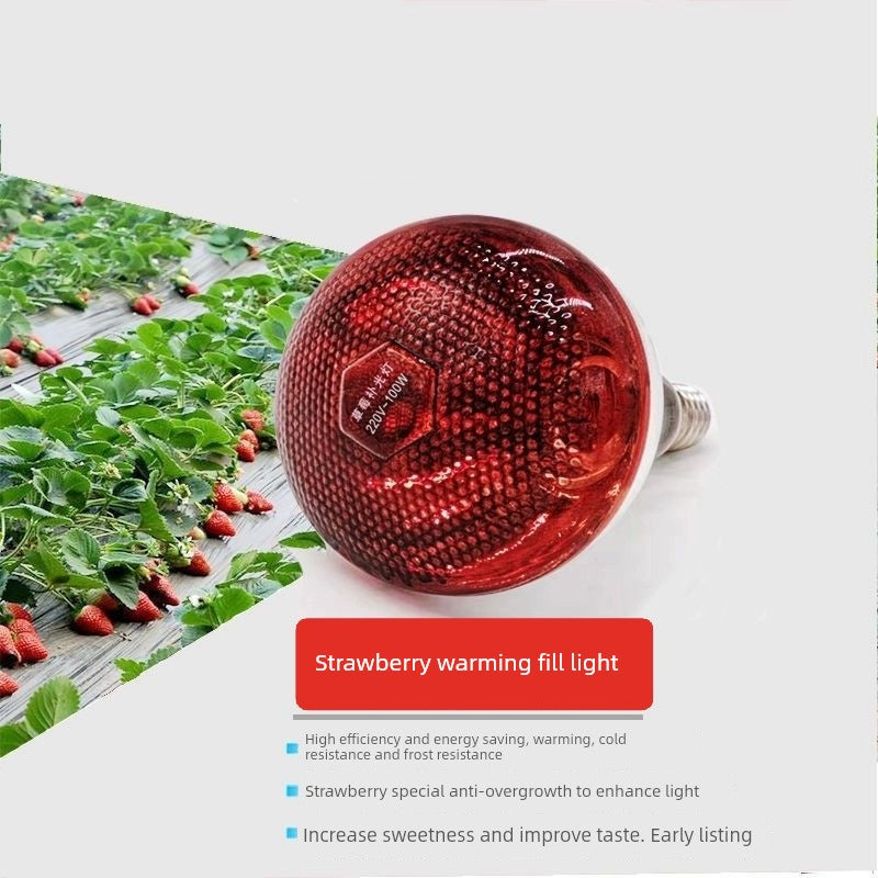 Strawberry Greenhouse Heating Fill Light Strawberry Greenhouse Heating Light Plant Heating Heating Heating Light New Time-Limited Promotion