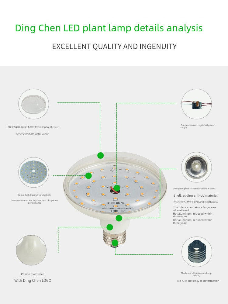 LED Plant Light Sunlight Dragon Fruit Chrysanthemum Strawberry Seedling Orchid Flower Green Plant Fill Light Chinese Rose Moss