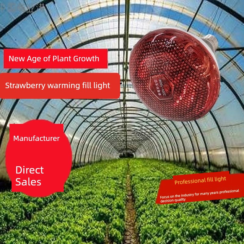 Strawberry Greenhouse Heating Fill Light Strawberry Greenhouse Heating Light Plant Heating Heating Heating Light New Time-Limited Promotion