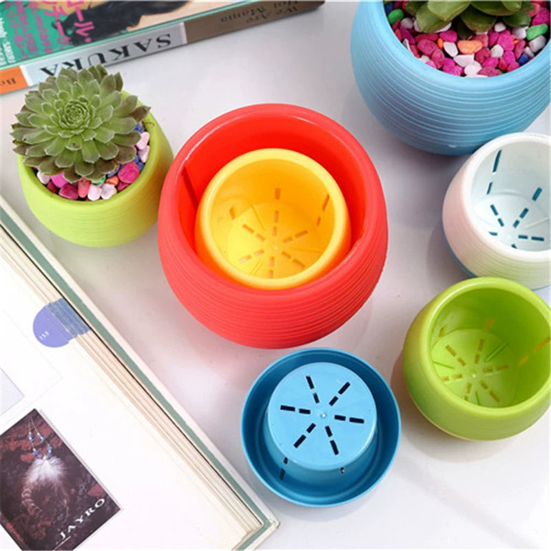 Xiaoshi Succulent Plant Plastic Water Storage Flower Pot