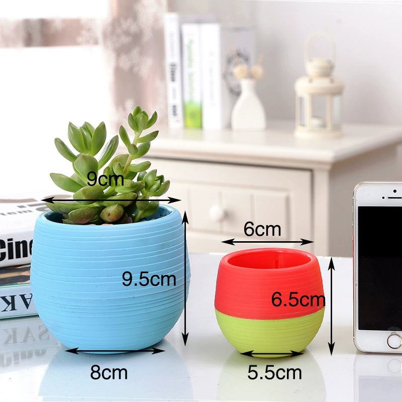 Xiaoshi Succulent Plant Plastic Water Storage Flower Pot