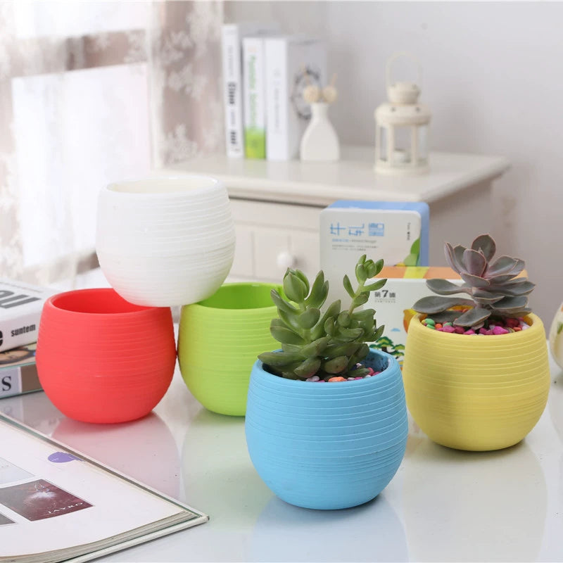 Xiaoshi Succulent Plant Plastic Water Storage Flower Pot