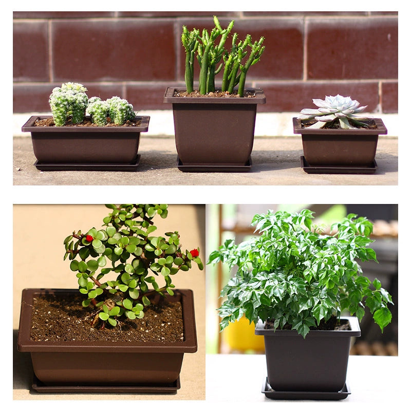 Imitation Purple Sand Succulent Flower Pot Special Offer Big Sale Green Dill Flowerpot Plastic Bonsai Flower Pot Desktop Pot Plant Flowerpot